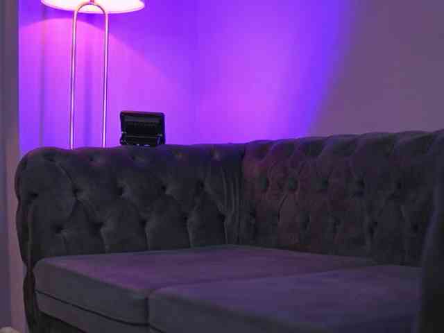 AvaSolis webcam