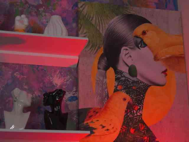 AvaSolis webcam