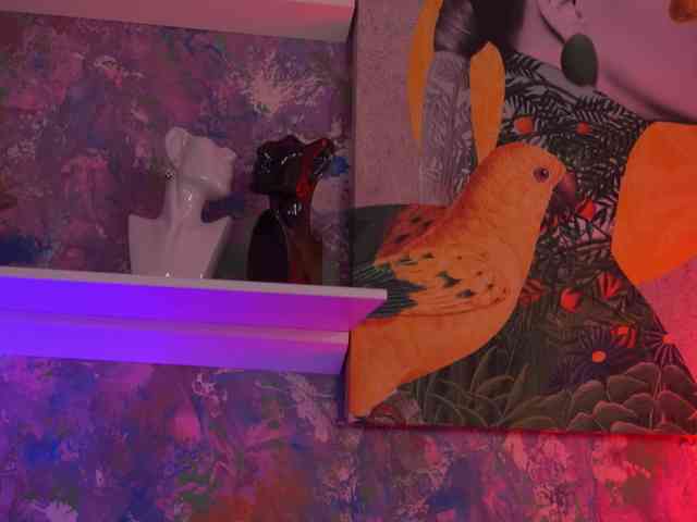 AvaSolis webcam