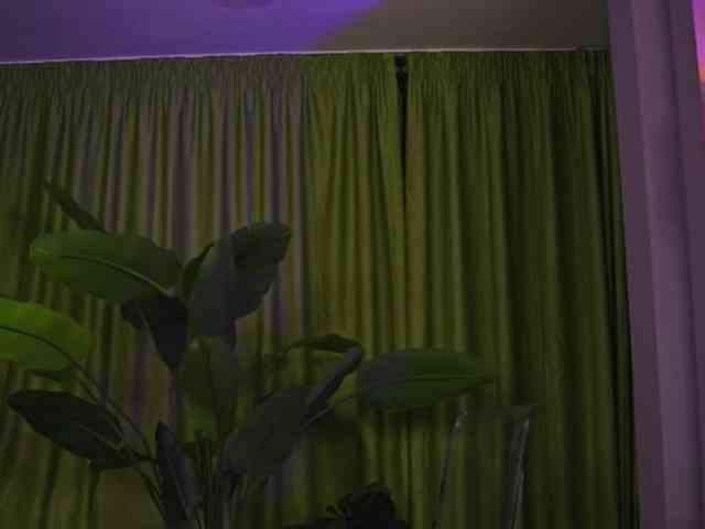 AvaSolis webcam