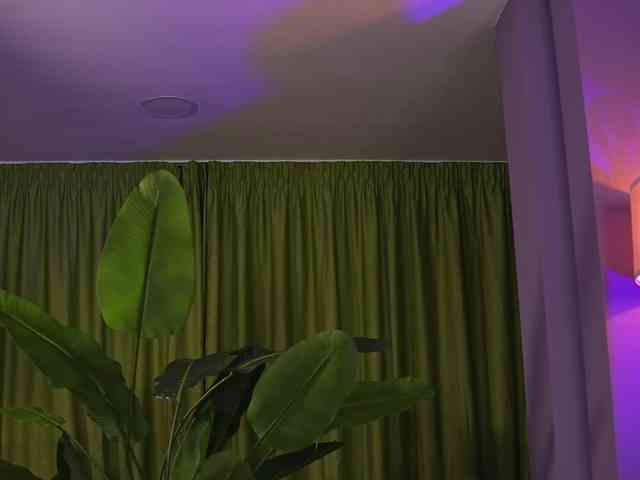 AvaSolis webcam