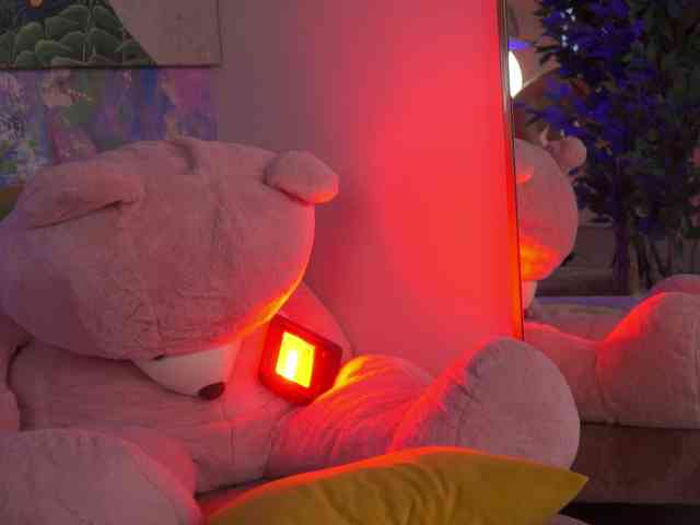 AvaSolis webcam