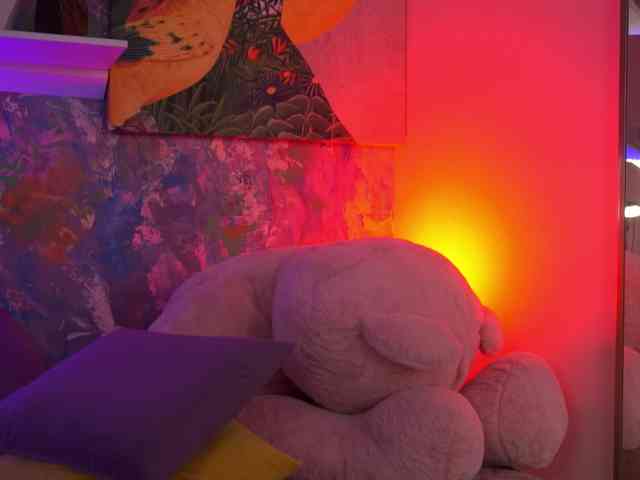 AvaSolis webcam