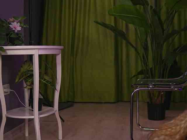 AvaSolis webcam