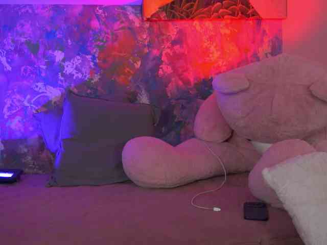 AvaSolis webcam