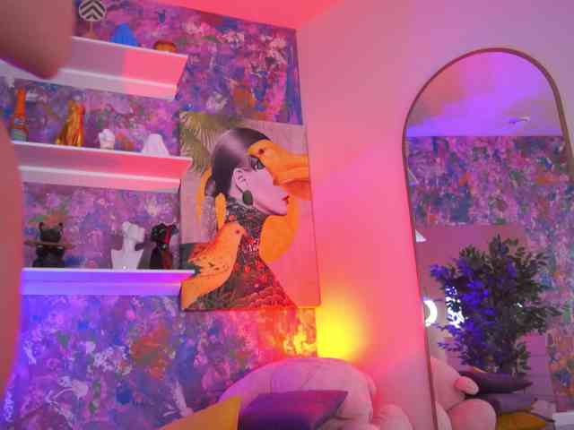 AvaSolis webcam