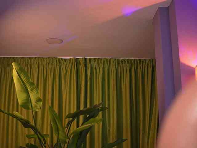 AvaSolis webcam
