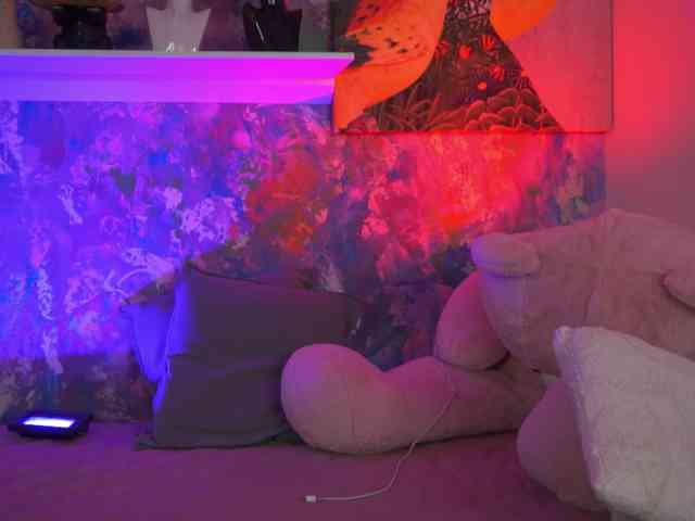 AvaSolis webcam