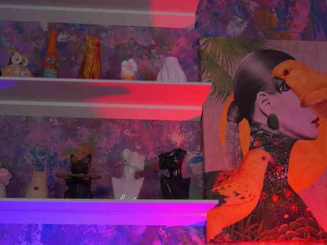 AvaSolis webcam