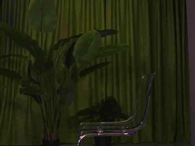 AvaSolis webcam