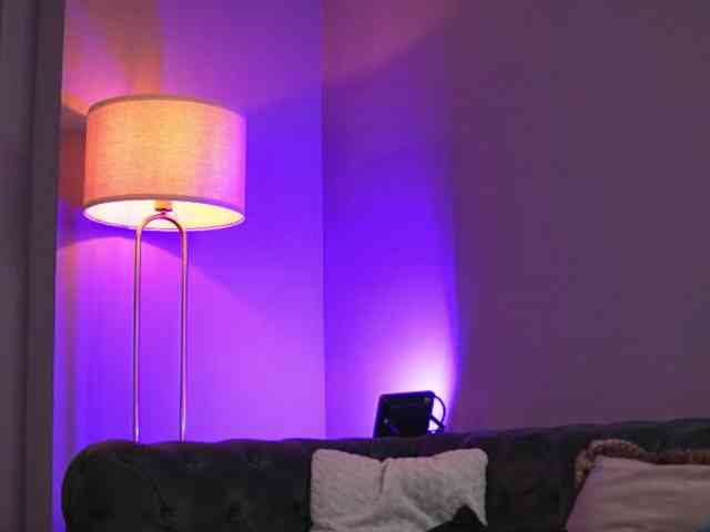 AvaSolis webcam