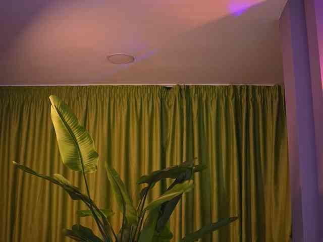 AvaSolis webcam