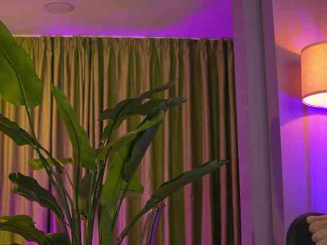 AvaSolis webcam