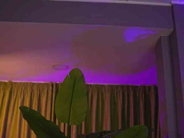 AvaSolis webcam