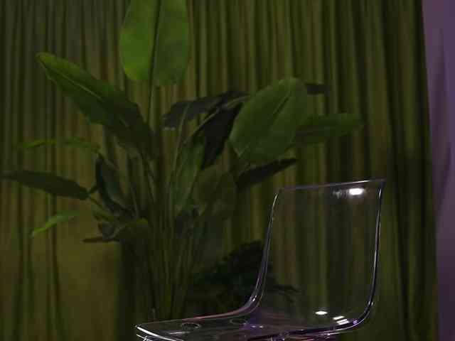 AvaSolis webcam