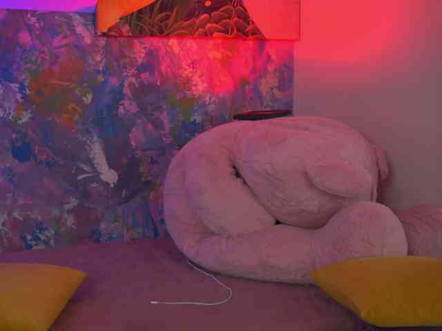AvaSolis webcam