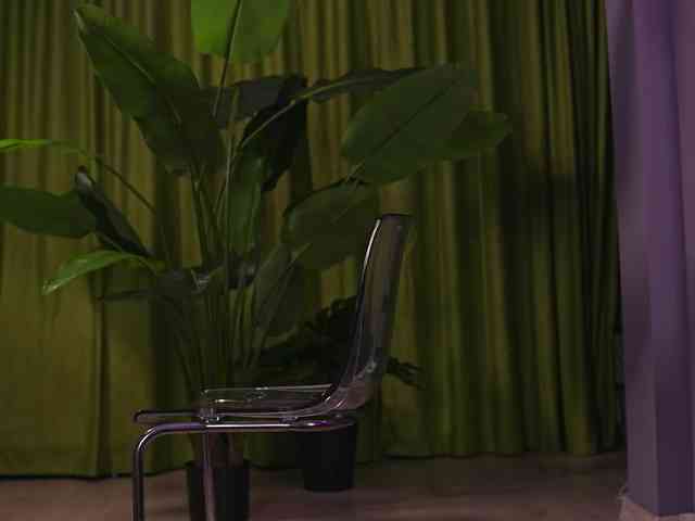 AvaSolis webcam