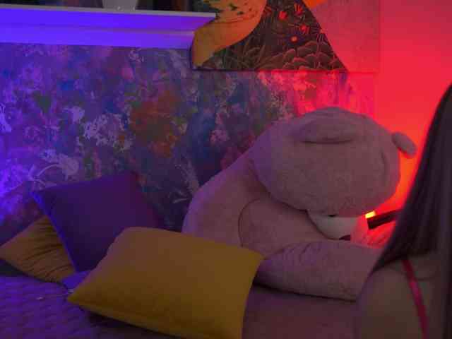 AvaSolis webcam