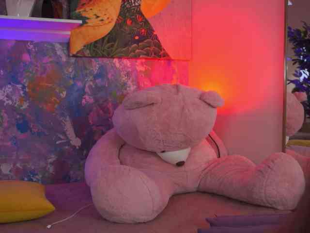 AvaSolis webcam