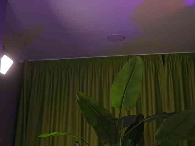 AvaSolis webcam
