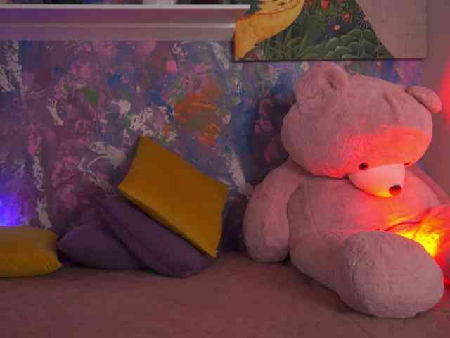 AvaSolis webcam