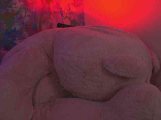 AvaSolis webcam