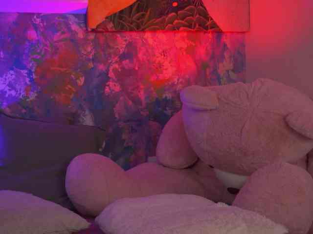 AvaSolis webcam