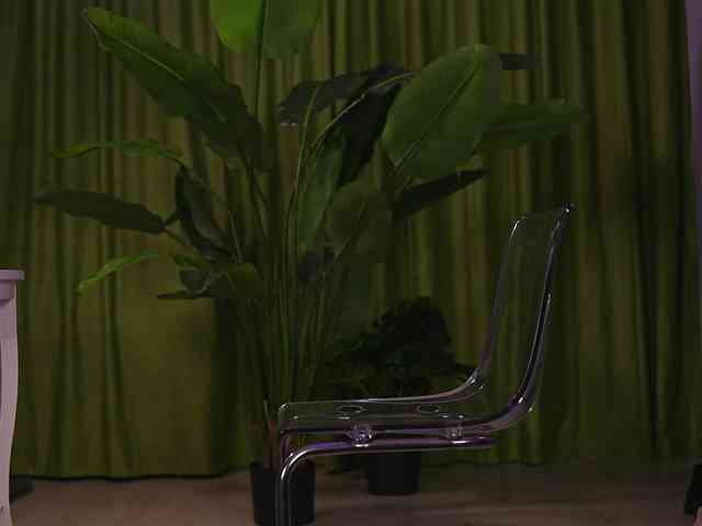 AvaSolis webcam