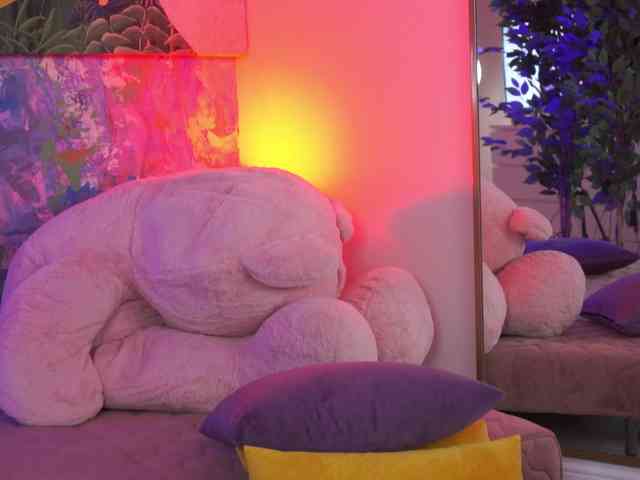 AvaSolis webcam