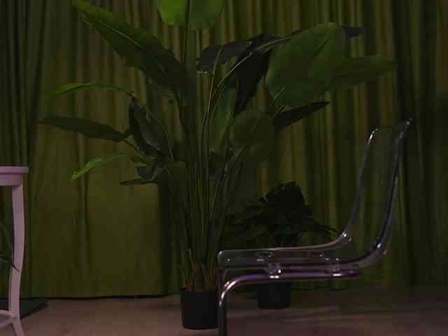 AvaSolis webcam