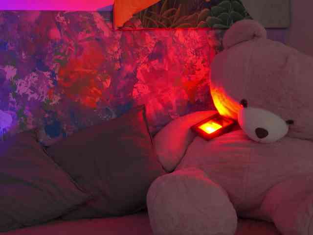 AvaSolis webcam