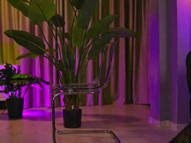 AvaSolis webcam