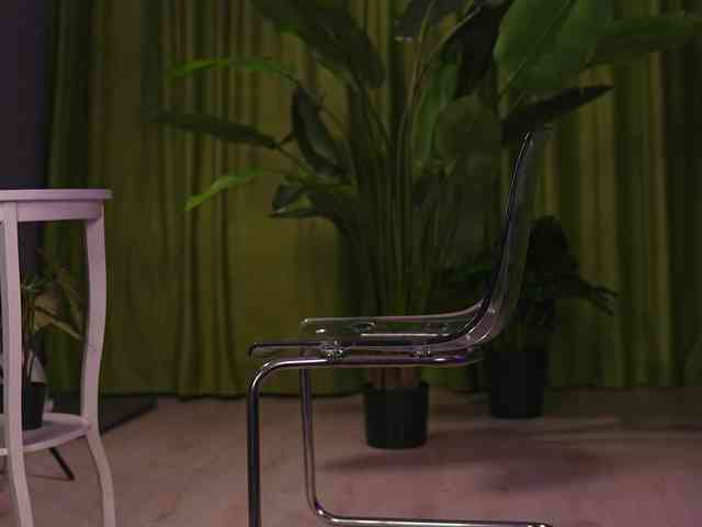 AvaSolis webcam
