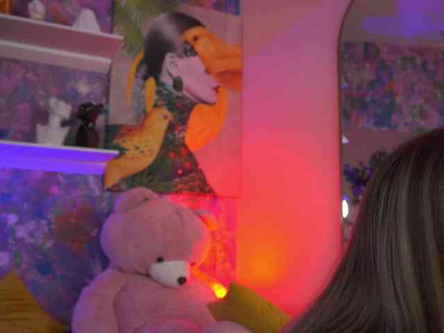 AvaSolis webcam