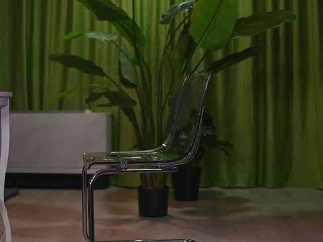 AvaSolis webcam