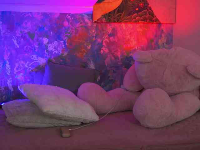 AvaSolis webcam