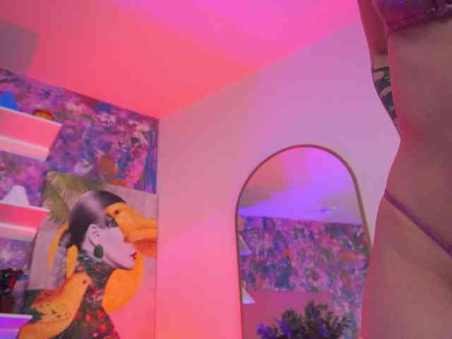 AvaSolis webcam