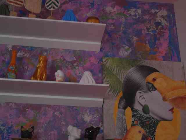 AvaSolis webcam