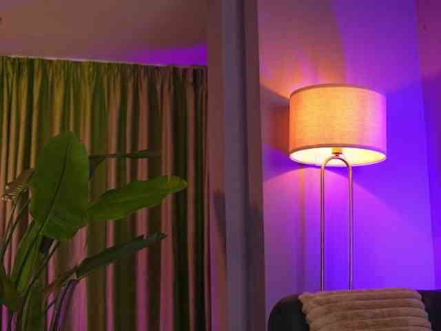 AvaSolis webcam