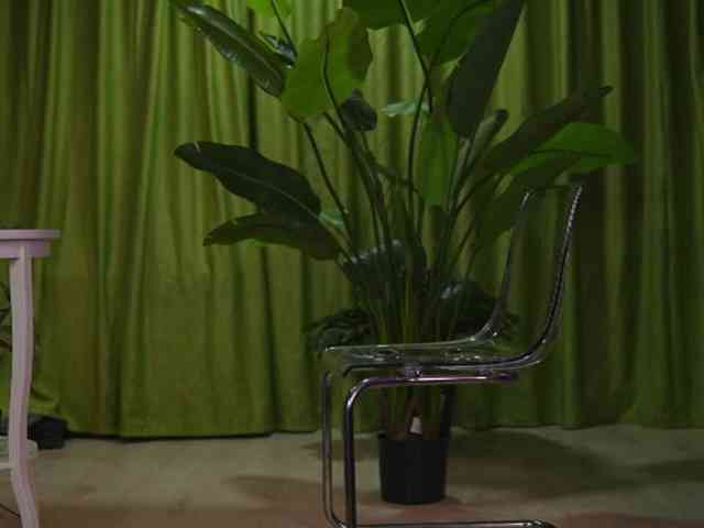 AvaSolis webcam