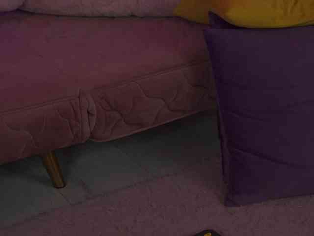 AvaSolis webcam