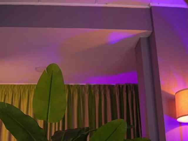 AvaSolis webcam