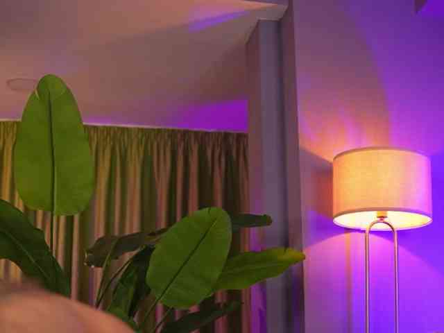 AvaSolis webcam