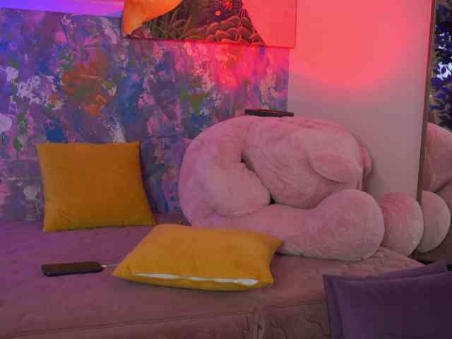 AvaSolis webcam