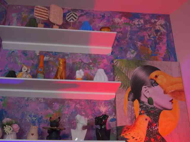 AvaSolis webcam