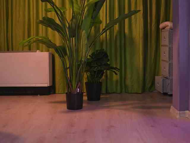 AvaSolis webcam