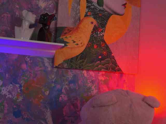 AvaSolis webcam