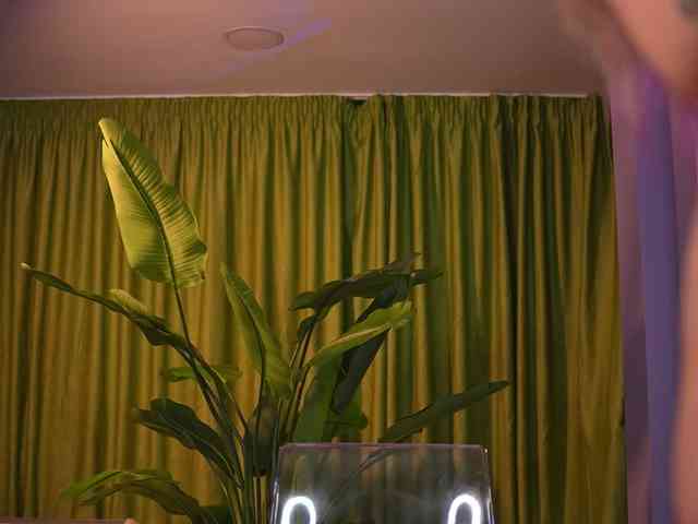 AvaSolis webcam