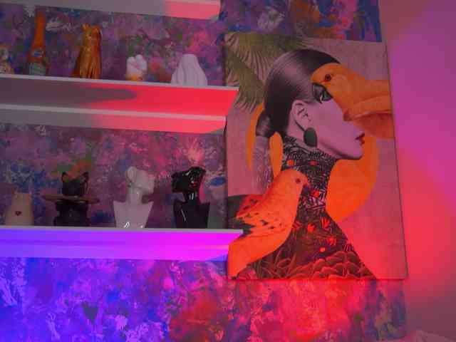 AvaSolis webcam