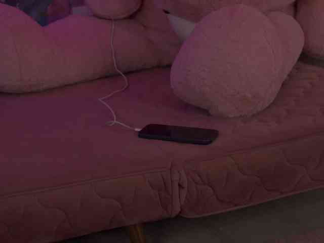 AvaSolis webcam